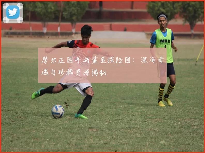 摩尔庄园手游鲨鱼探险团：深海奇遇与珍稀资源揭秘