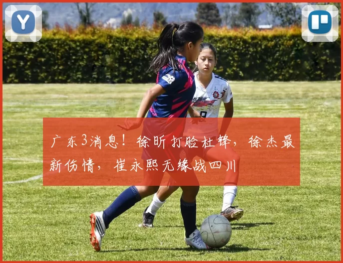 广东3消息！徐昕打脸杜锋，徐杰最新伤情，崔永熙无缘战四川