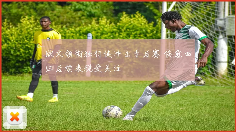 欧文领衔独行侠冲击季后赛 伤愈回归后续表现受关注