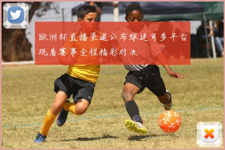 欧洲杯直播渠道公布球迷可多平台观看赛事全程精彩对决