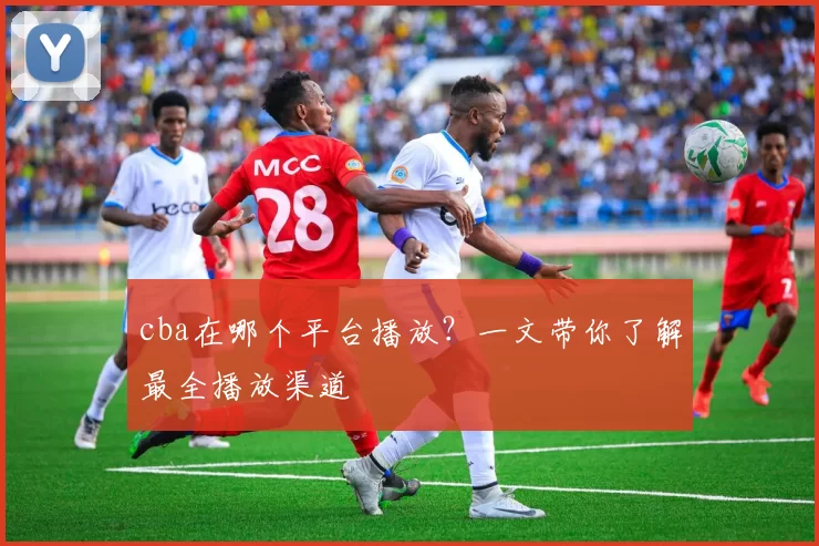 cba在哪个平台播放？一文带你了解最全播放渠道