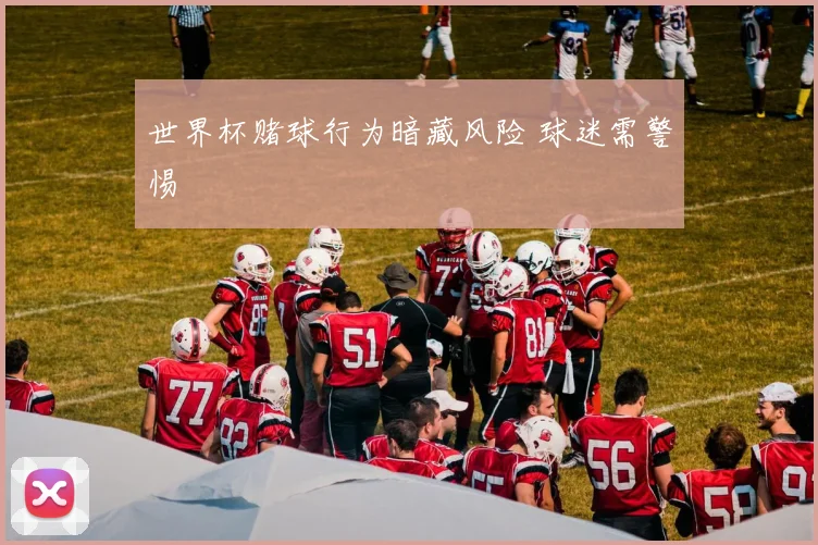 世界杯赌球行为暗藏风险 球迷需警惕