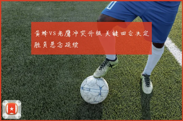黄蜂vs老鹰冲突升级 关键回合决定胜负悬念延续