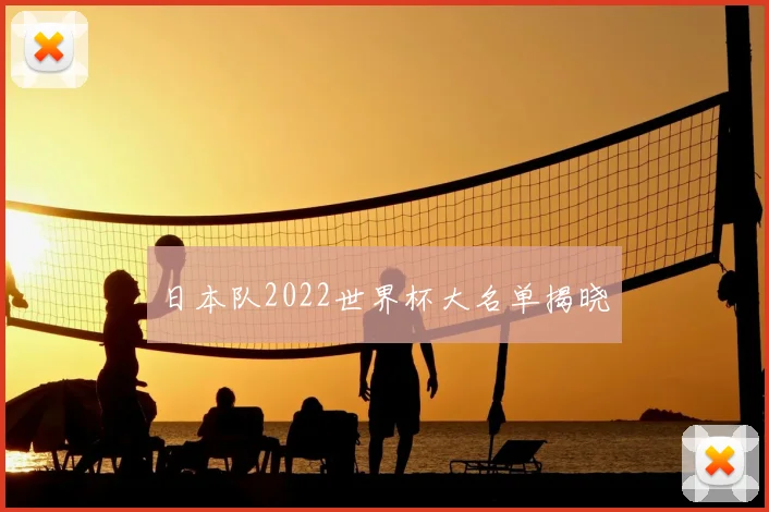 日本队2022世界杯大名单揭晓