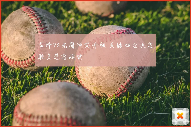 黄蜂vs老鹰冲突升级 关键回合决定胜负悬念延续